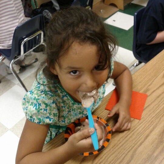 Hardy Oak Elementary School Elementary School in Stone Oak