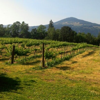 Photo taken at Cathedral Ridge Winery by Tanner S. on 7/10/2012