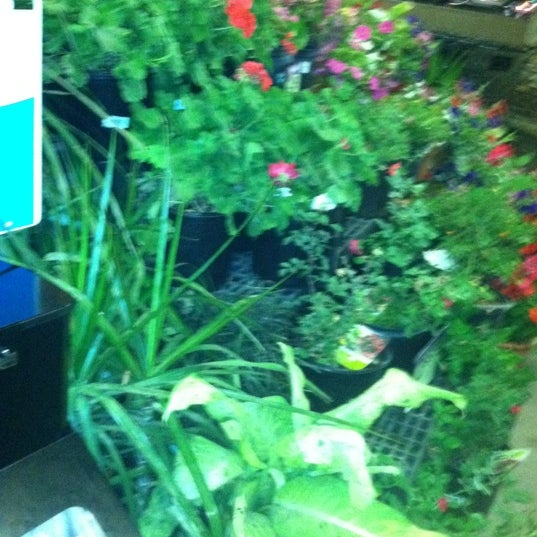 Photos at Fry's Food Store Laveen, AZ