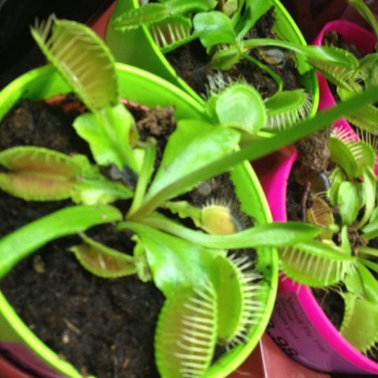 B&Q Beckton, Greater London