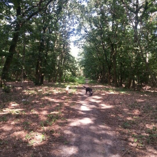 MTB Route Aquabest - 1 tip from 19 visitors