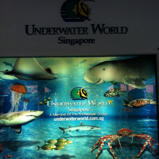 3/31/2012 tarihinde Elaine Y.ziyaretçi tarafından Underwater World And Dolphin Lagoon'de çekilen fotoğraf