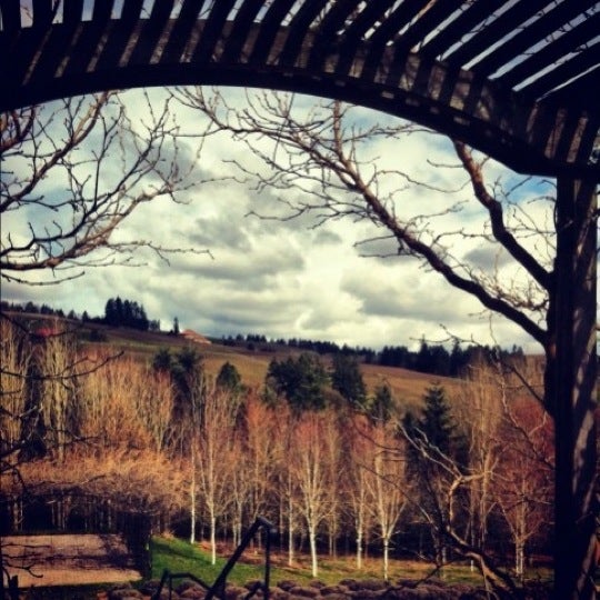 Red Ridge Farms Vineyard in Dayton