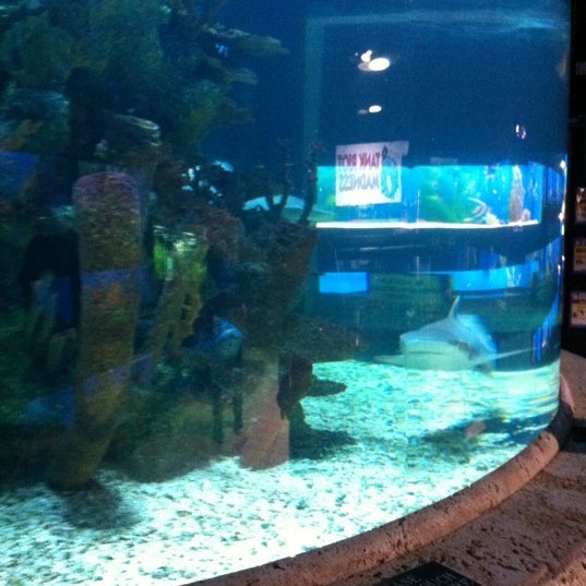 Photos at Big Al's Aquarium Services (Now Closed) Pet Store
