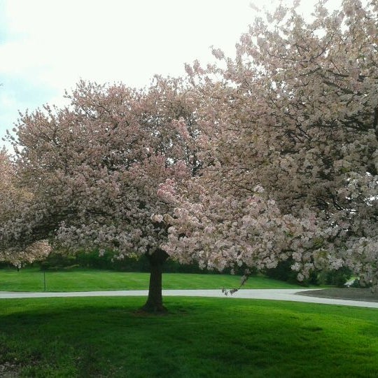 Das Foto wurde bei Inniswood Metro Gardens von Courtney E. am 4/11/2012 aufgenommen