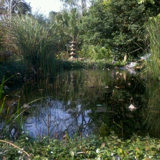 Zen Garden Vegan and Vegetarian Restaurant