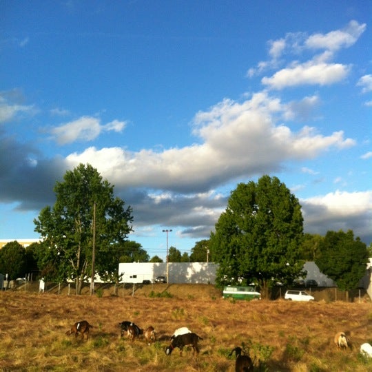 Photo taken at The Belmont Goats by Bix F. on 6/10/2012