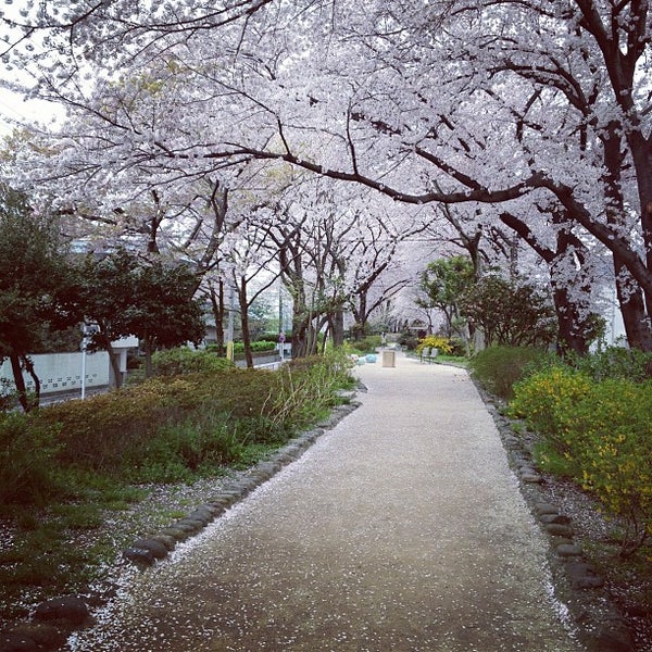 玉川上水第二公園 Park In 杉並区