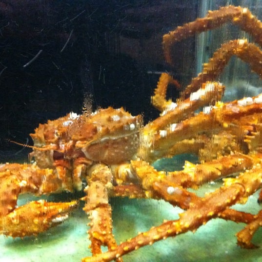 Unique Seafood 23 Restaurant (23海鮮飯店) - Seafood Restaurant