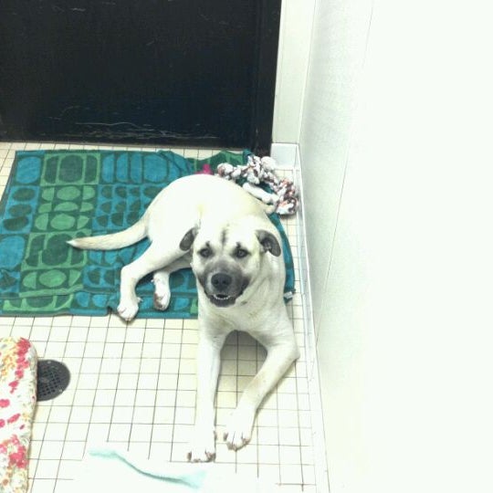 Photos At Feeders Supply Pet Store In East Louisville