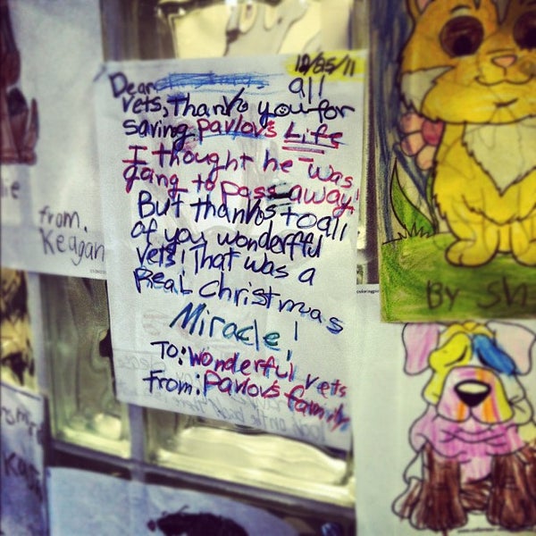 Animal Emergency Clinic Veterinarian in Lake Saint Louis