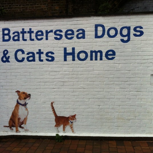 รูปภาพถ่ายที่ Battersea Dogs &amp; Cats Home โดย David J. เมื่อ 4/25/2012