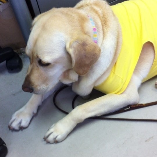 Photos At 日本盲導犬協会 神奈川訓練センター Office In 港北区