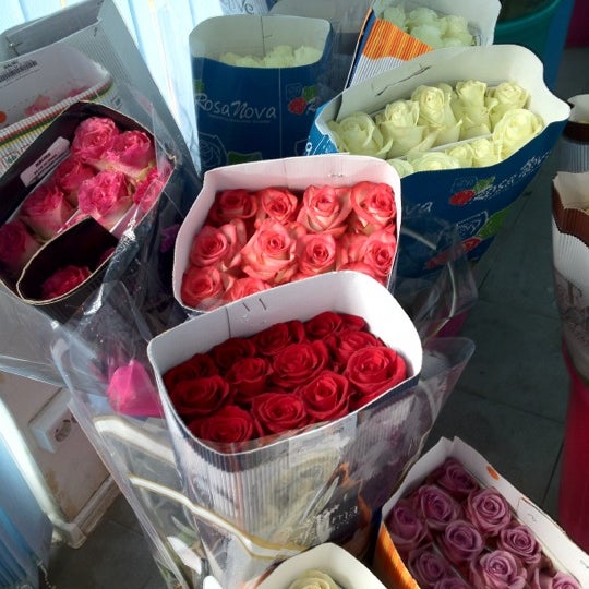 Цветочный рынок краснодар восточно-кругликовская. Оптовый рынок цветов в краснодаре. Цветочный рынок в краснодаре оптовый. Рижский рынок цветы в горшках. Цветочный рынок в краснодаре оптовый на восточно кругликовской.