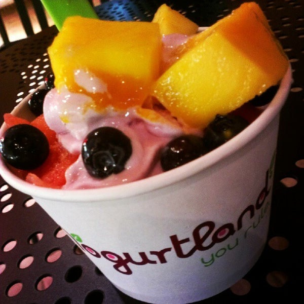 Yogurtland Frozen Yogurt Shop in Irvine