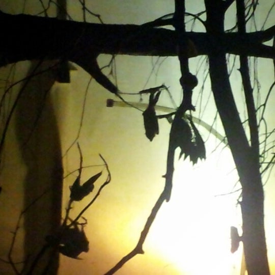 Fruit Bat House Zoo Exhibit in Chester