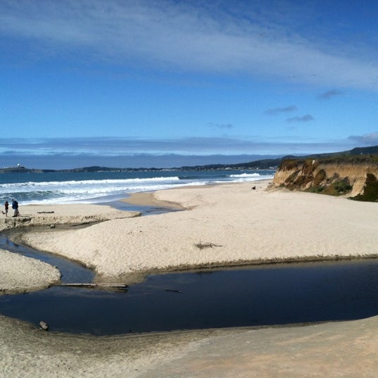 Venice Beach Beach in Half Moon Bay
