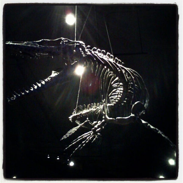 Foto tomada en McClung Museum of Natural History and Culture  por Joseph A. el 5/3/2012