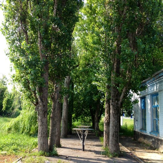 Тим курская область памятник. Курская обл п тим. Поселок тим курская область. Тим курская область достопримечательности. Курская обл п тим.