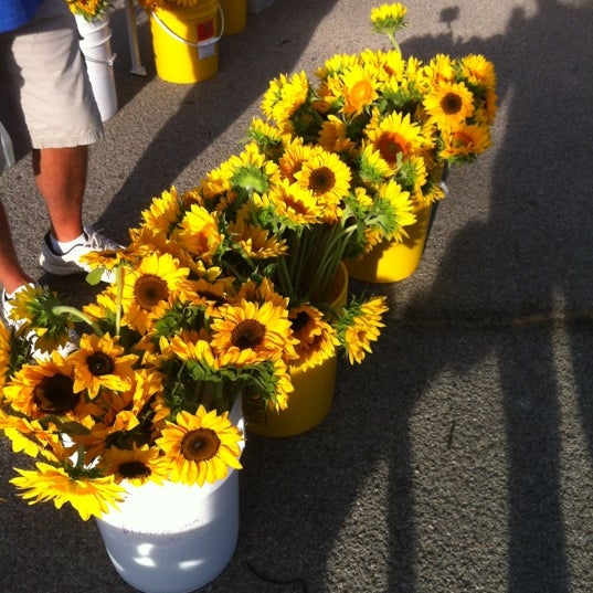 Das Foto wurde bei Broad Ripple Farmers Market von Sara C. am 6/23/2012 aufgenommen