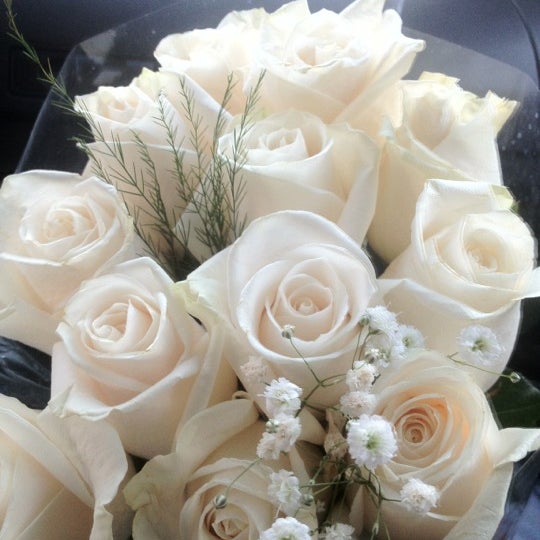 Rouses Flowers New Orleans Best Flower Site