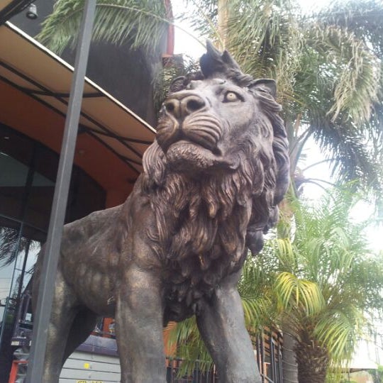 Telefono Casino Twin Lions Guadalajara Telefono Casino Twin Lions Guadalajara