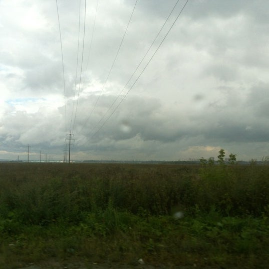 Поле в подольске. Подольское поле. Фестиваль славянское подворье в дубровицах. Липовый парк подольск. Поле в подольске.