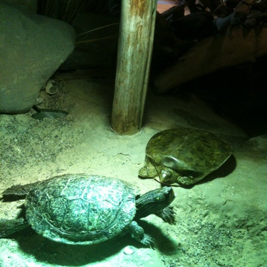 รูปภาพถ่ายที่ ECHO Lake Aquarium &amp; Science Center โดย Daniel B. เมื่อ 8/10/2012