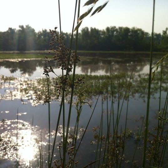 Foto diambil di Shelby Bottoms Park &amp; Nature Center oleh Ed S. pada 5/16/2012