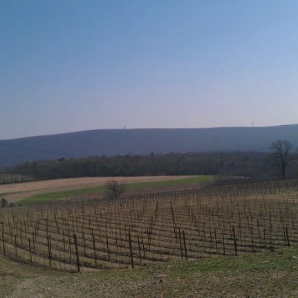 Photo taken at Galen Glen Winery by Becky S. on 3/17/2012