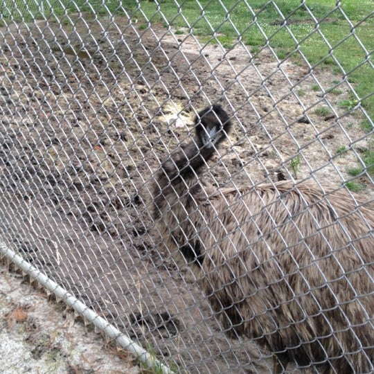 Scidmore Park & Petting Zoo - Park in Three Rivers