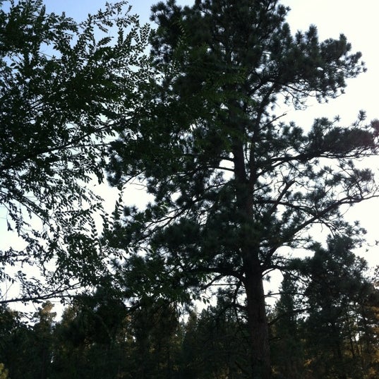 Photos At Rainbow Lake Rv Park Cabins 33 Visitors