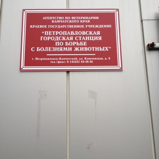 ветеринарная клиника звенигород посад. звенигородская ветеринарная лечебница государственная. ветклиника на почтовой иваново. ветеринарная клиника звенигород верхний посад. ветклиника на моторной оренбург.