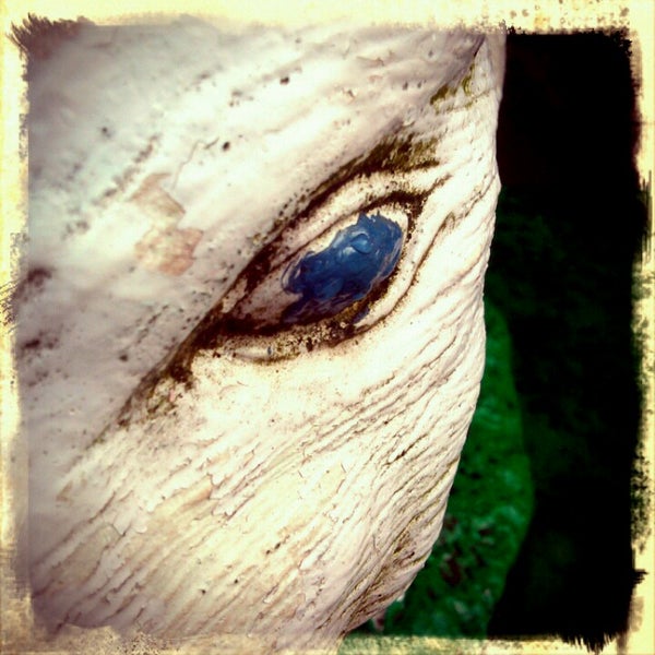 Photos at Boice Bros. Dairy Kingston, NY