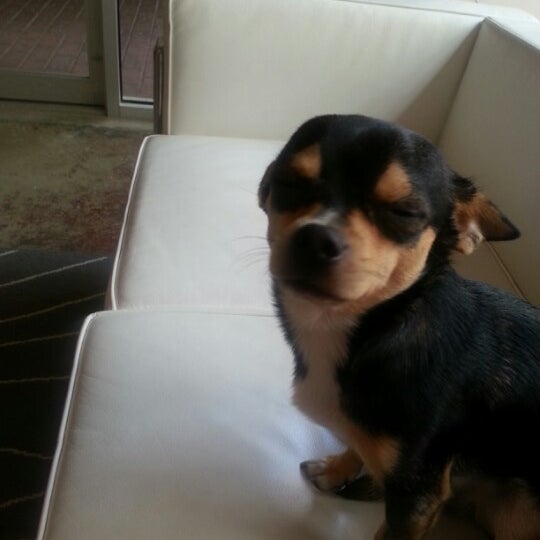 Top Knot Studio Hair Salon