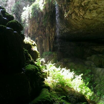 Photo taken at Westcave Outdoor Discovery Center by Bill T. on 4/7/2012
