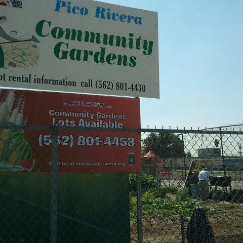 Pico Rivera Community Gardens 10 Visitors