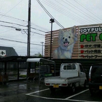 ジョイフル本田 ペットセンター 市原店 市原市 2 Dicas De 53 Clientes ジョイフル本田 ペットセンター 市原店 市原市 2 Dicas De 53 Clientes