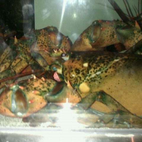 3/17/2012 tarihinde Teresa C.ziyaretçi tarafından Red Lobster'de çekilen fotoğraf
