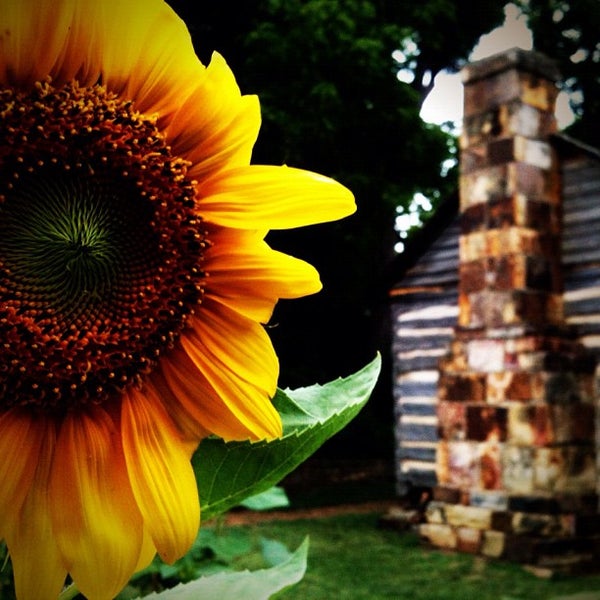 Photo taken at Shiloh Museum by Jonathan P. on 6/12/2012