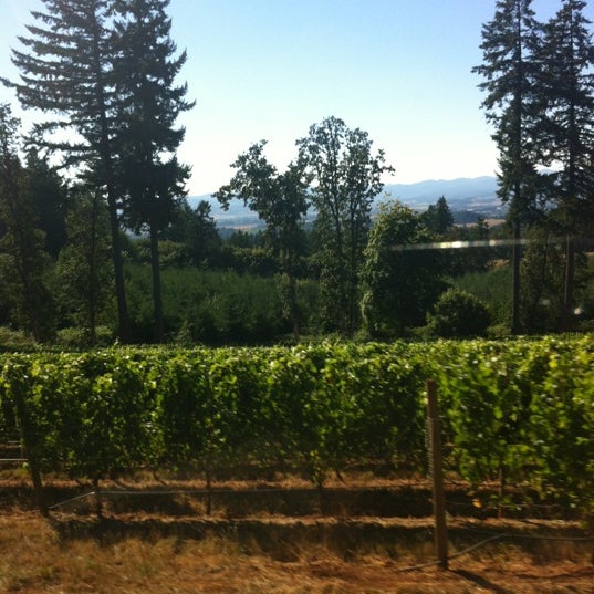 Foto diambil di Vista Hills Vineyard &amp; Winery oleh Thomas S. pada 9/1/2012