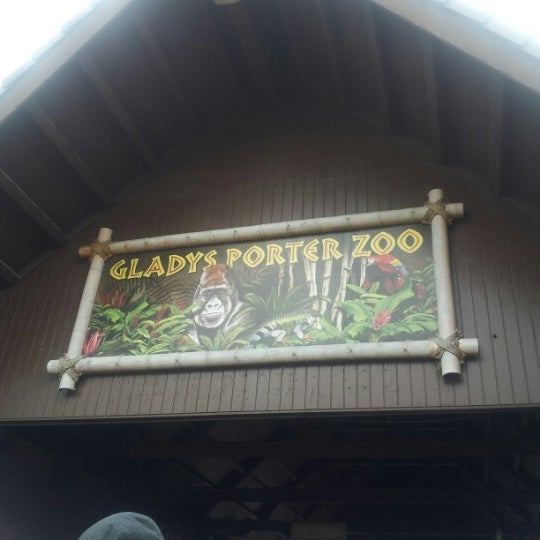 hotels near gladys porter zoo in brownsville tx hotels near gladys porter zoo in brownsville tx