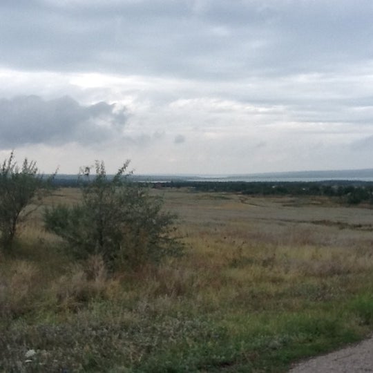 Х садовый. Х садовый