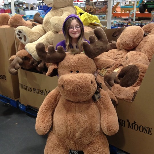 giant moose stuffed animal costco