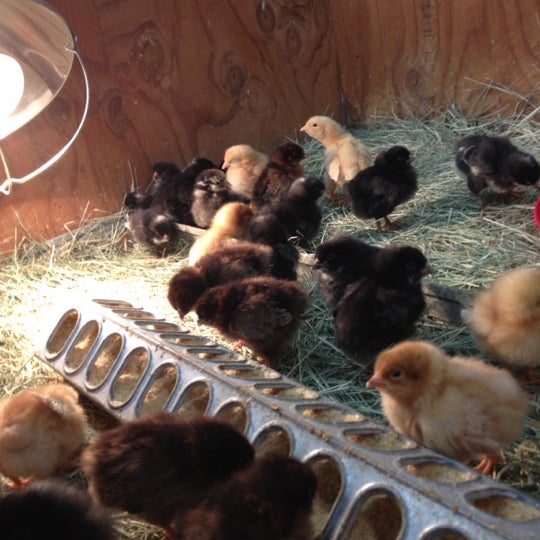 Kahoots Pet Supplies Store in Murrieta