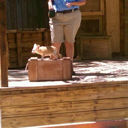 Photo taken at Wild Adventures Theme Park by Stacy A. on 4/27/2012