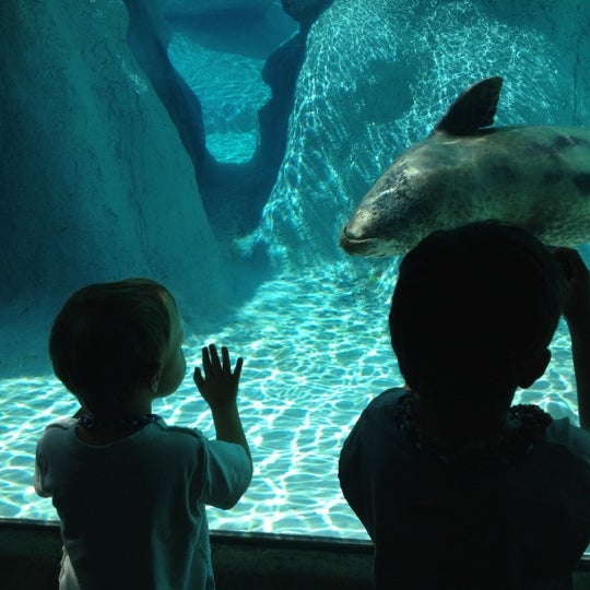 NC Zoo: North America - Asheboro, NC