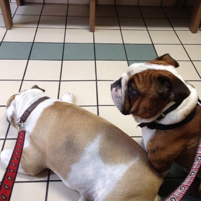 Photo taken at Brykerwood Veterinary Clinic by Amy B. on 8/6/2012