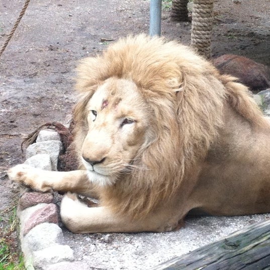 Photo taken at Zoo Parque Loro by Rafa M. on 8/18/2012