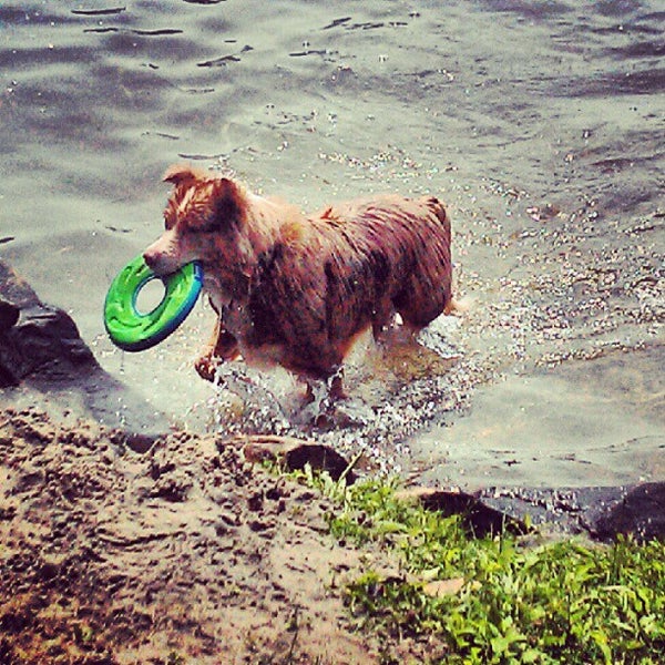 Photos at Stoneboro Lake Sandy Lake, PA